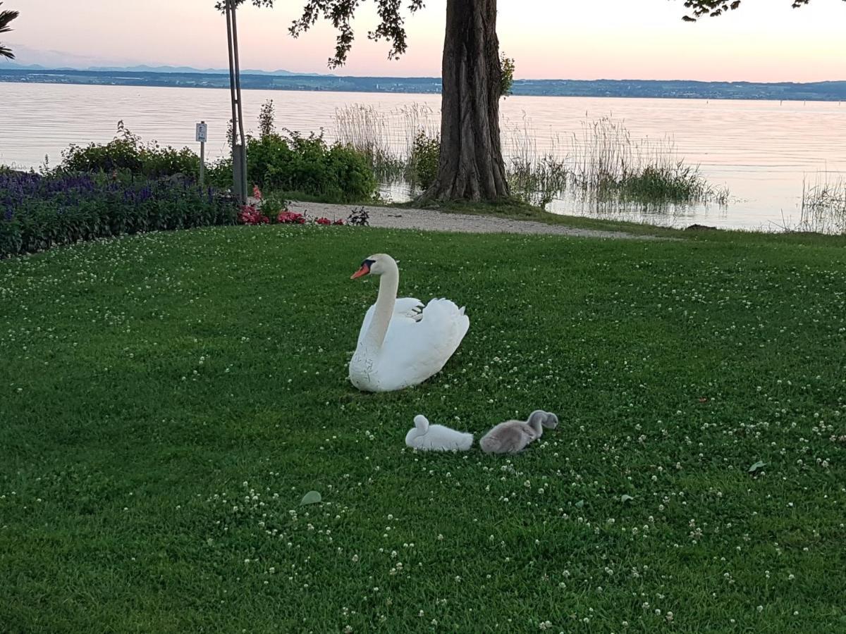 Malvelyns Am Bodensee Daire Immenstaad am Bodensee Dış mekan fotoğraf